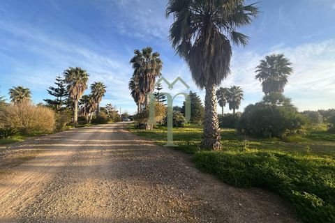 Villa i Mesagne, Brindisi, Mesagne - € 365.000 | Ref: Villa Palme - foto 34
